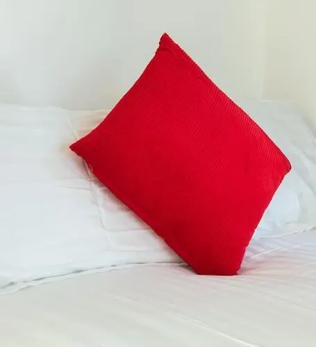 Semesterbostad Opulent 2br 2ba House With Free Parking